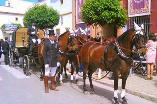 Caballos Carbonell