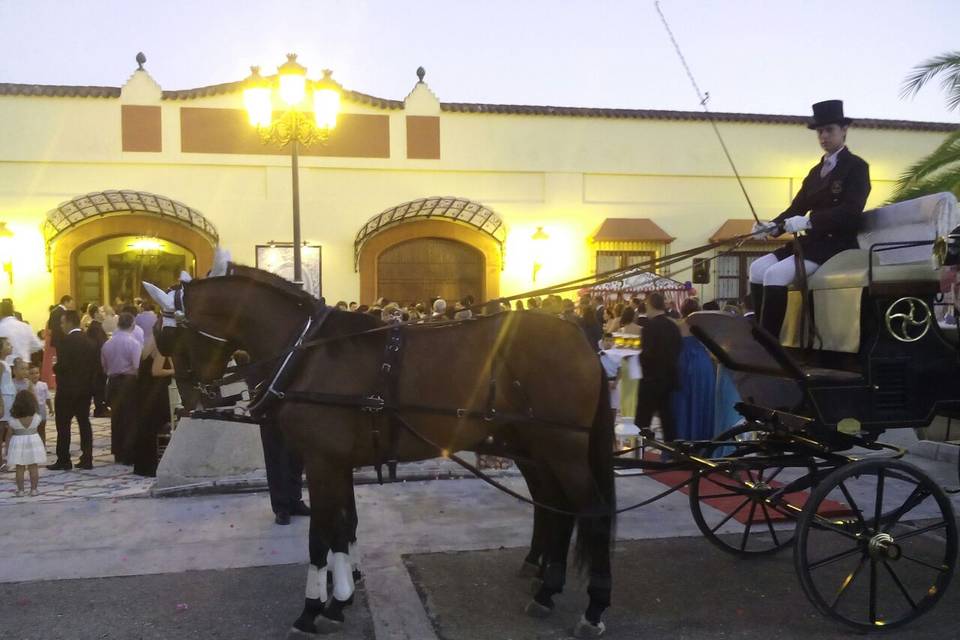 Caballos Carbonell