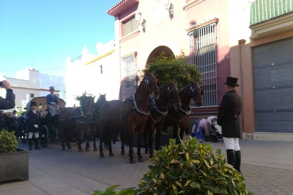 Caballos Carbonell