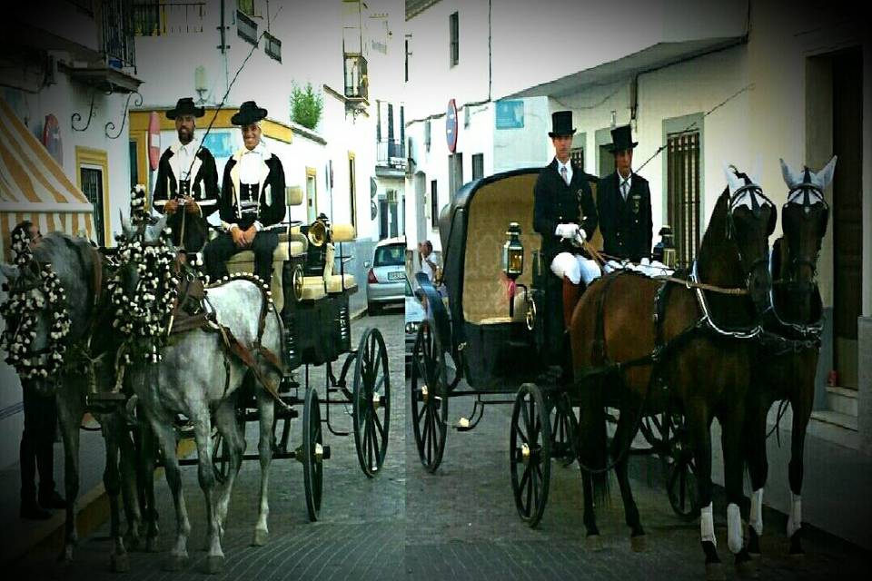 Caballos Carbonell