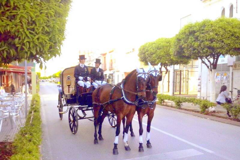 Caballos Carbonell