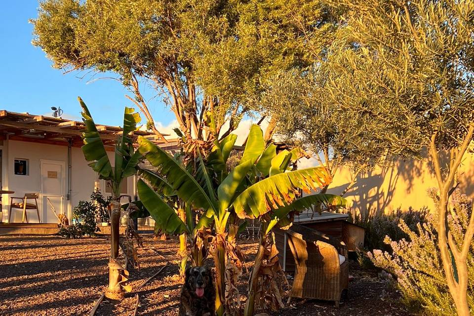 Finca Pepeoil