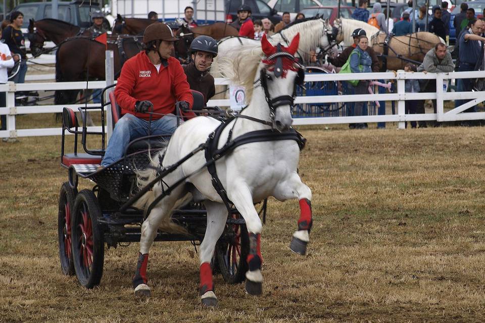 Carruajes Galicia