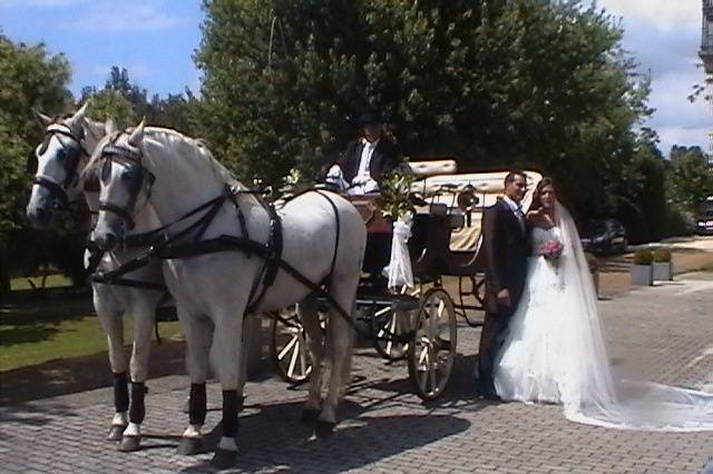 Boda Oza dos rios