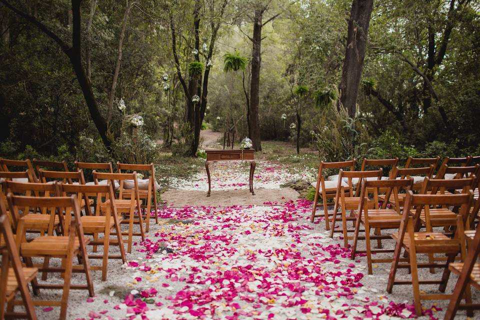 Toñi Orihuela Bodas en la Playa