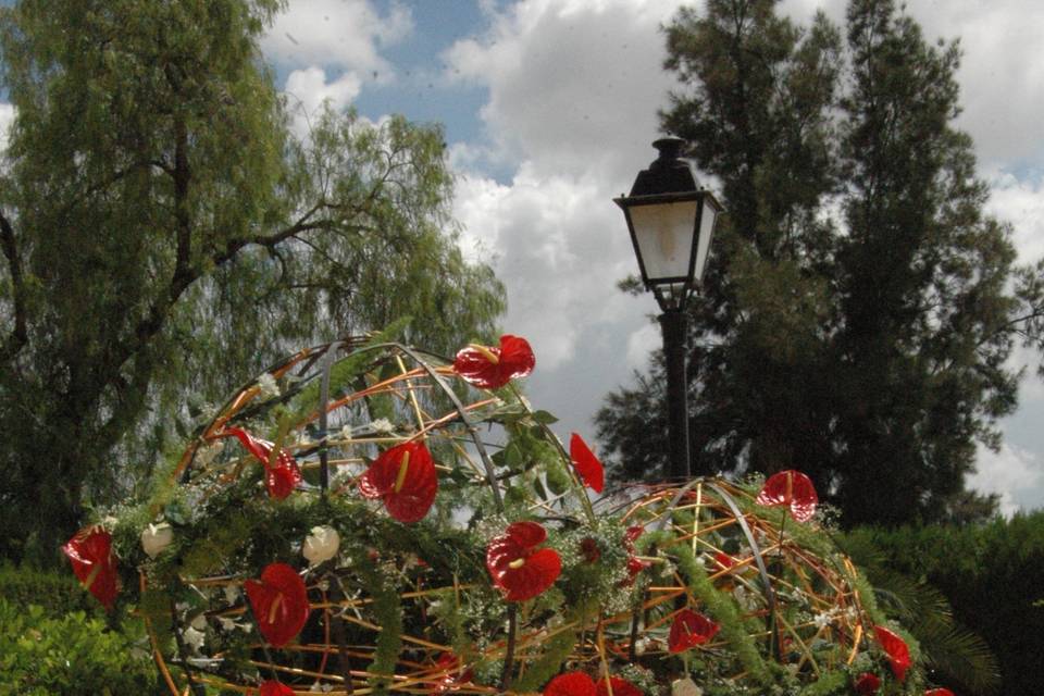 J Ramón Serna Floristas