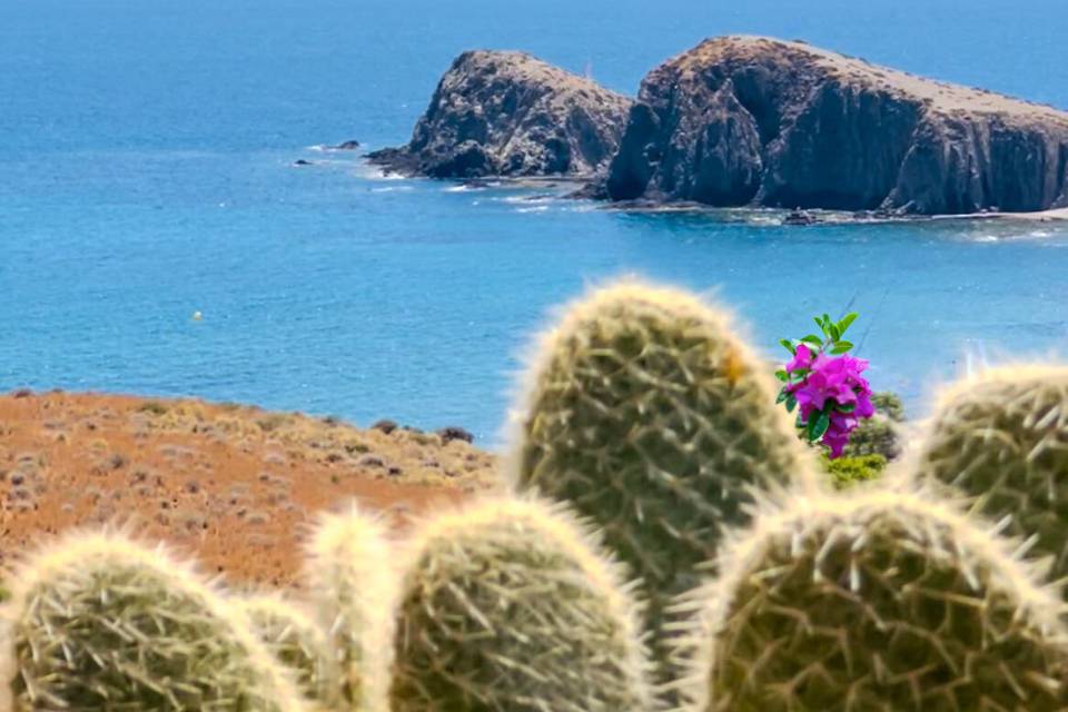 Cortijo La Loma