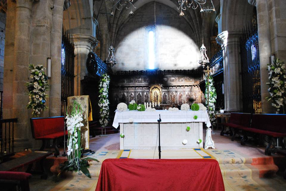 Boda en la Catedral de Tui