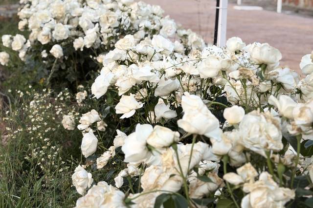 Jardines