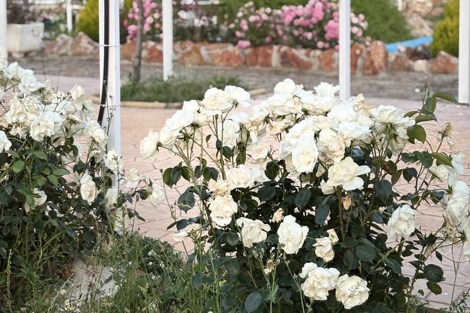 Jardines