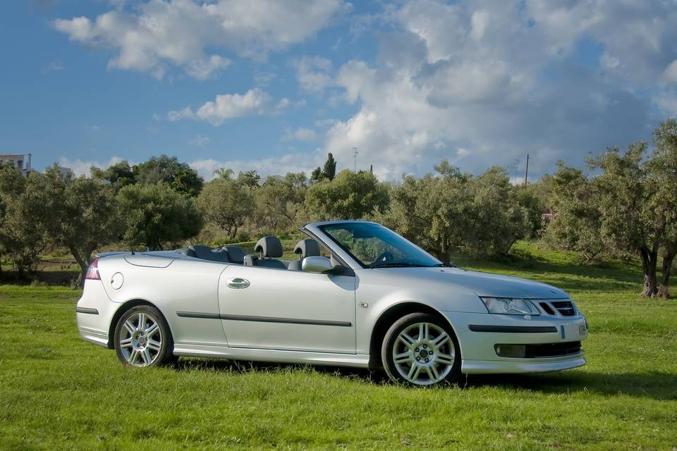 Javier Aguirre - Saab 93 cabrio