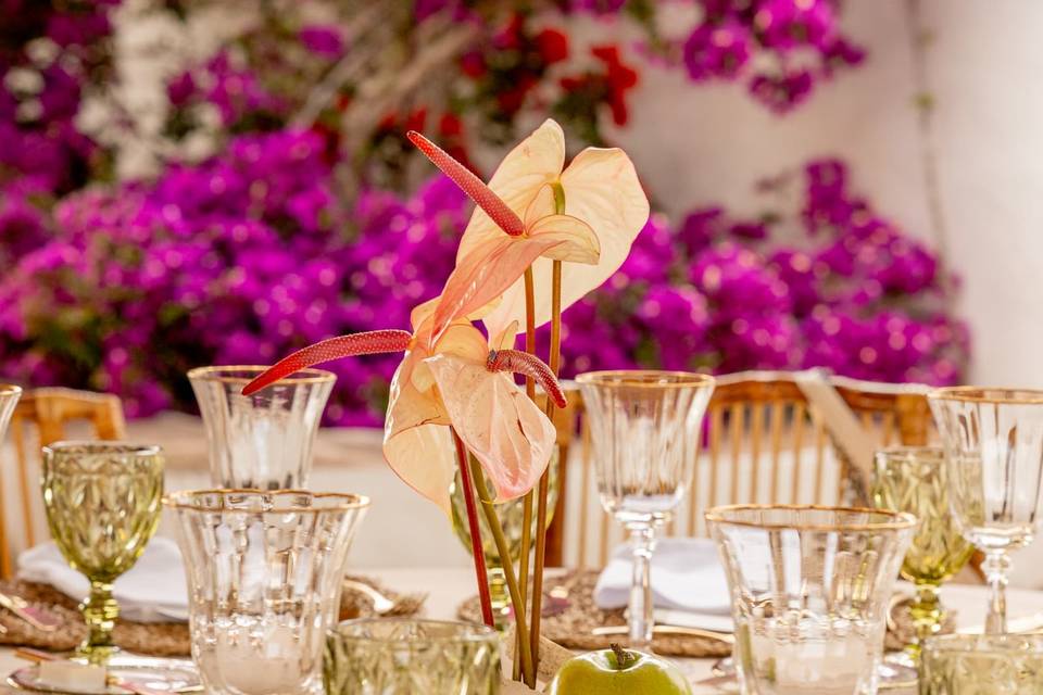 Boda S&M 2026