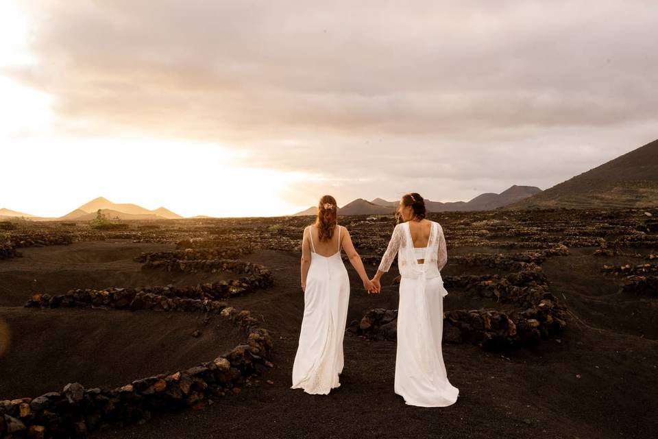 Boda S&M 2026