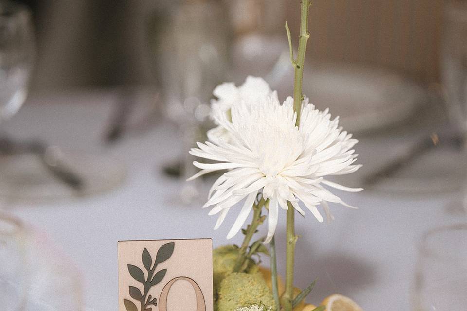Boda L&I Testeina 2025