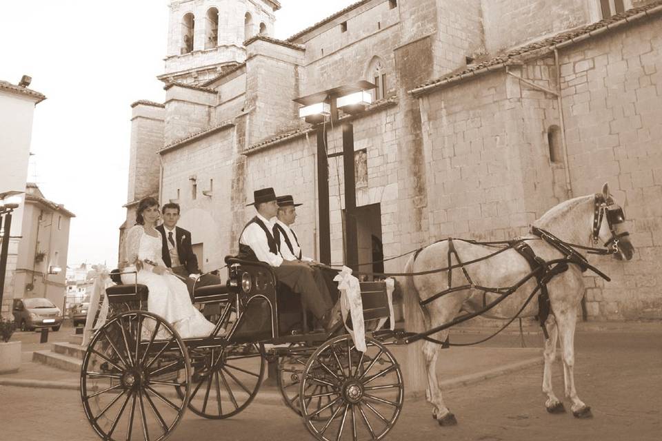 Coches de caballos Albacete