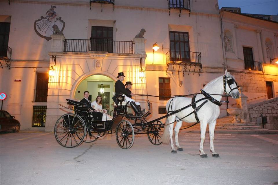 Yeguada Venta del Potro Almansa