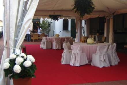 Interior carpa