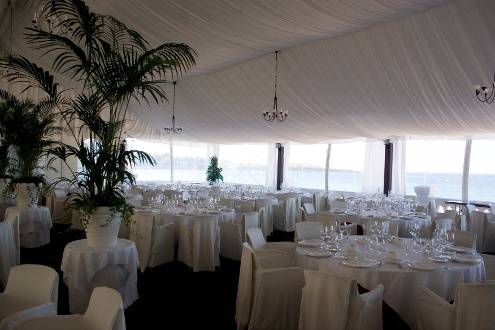 Interior carpa