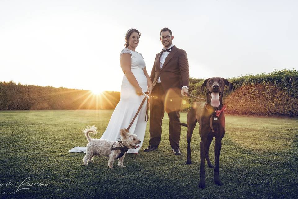 Postboda con animales