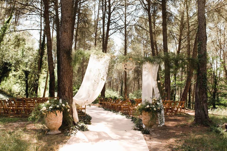 Ceremonia en el bosque