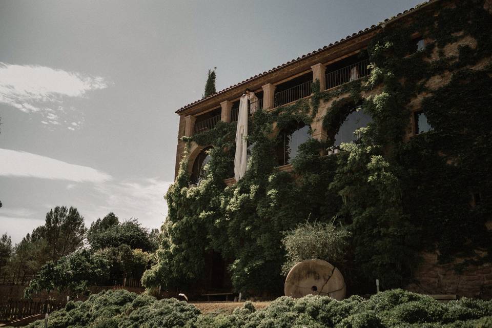 Banquete exterior en el prado