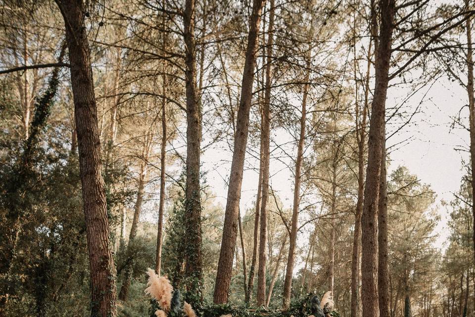 Ceremonia en el bosque