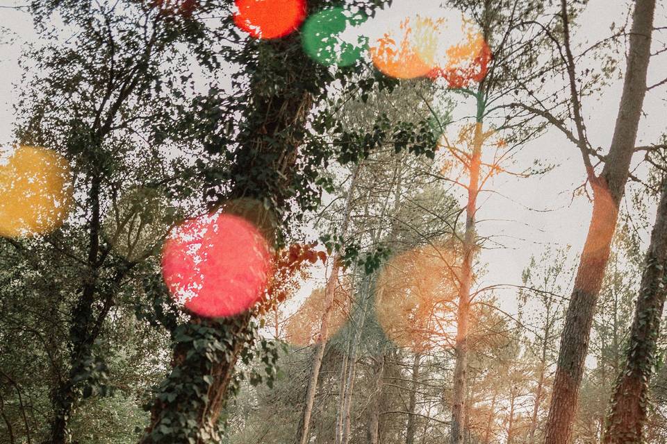 Ceremonia en el bosque