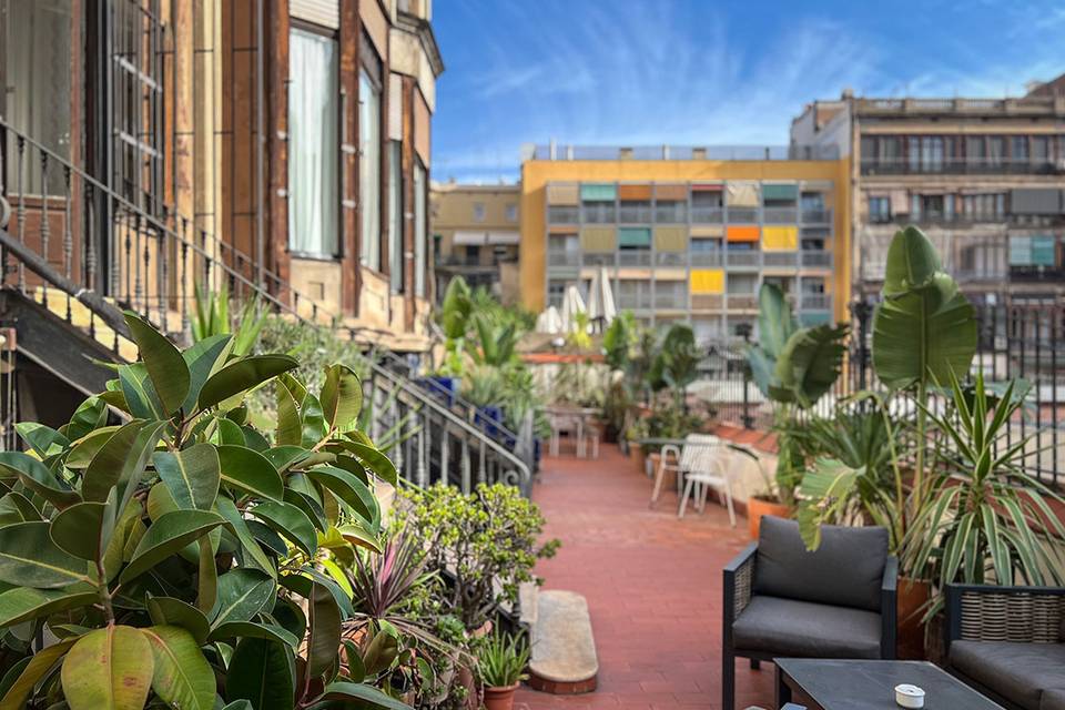 Terraza