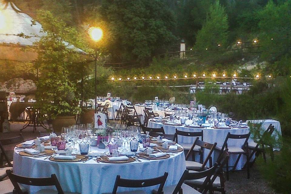 DDamas Catering