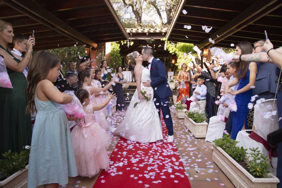 Viva los Novios!