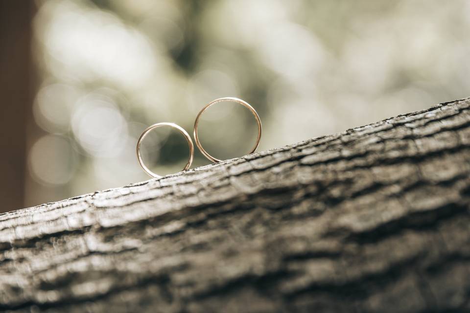 Los anillos