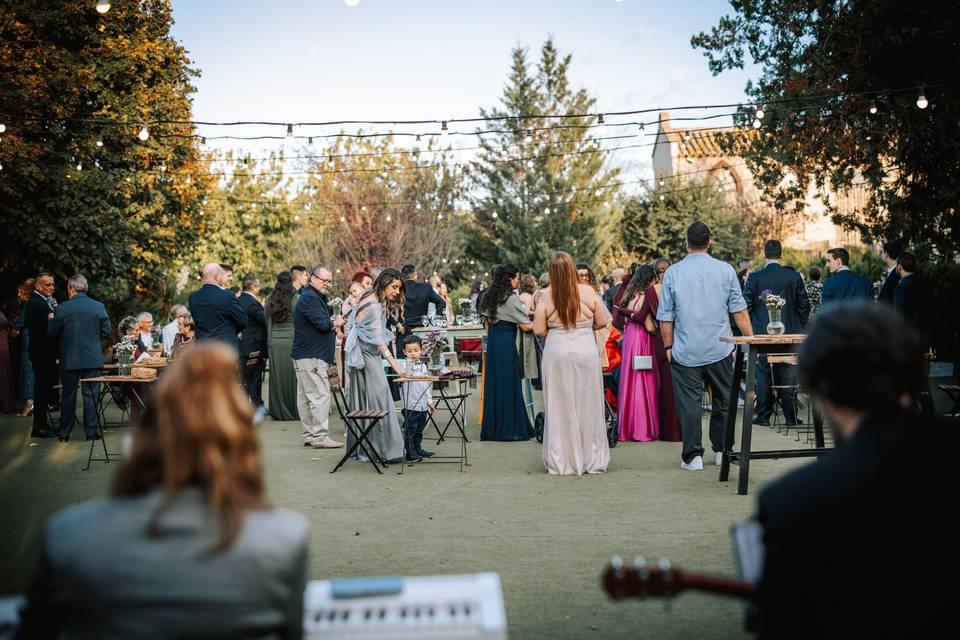 Música en directo aperitivo