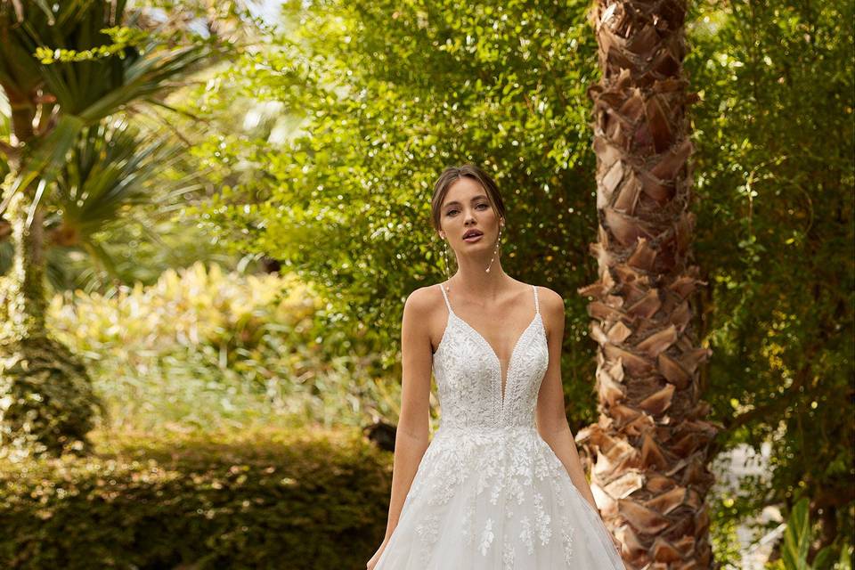 El Vestido De La Novia