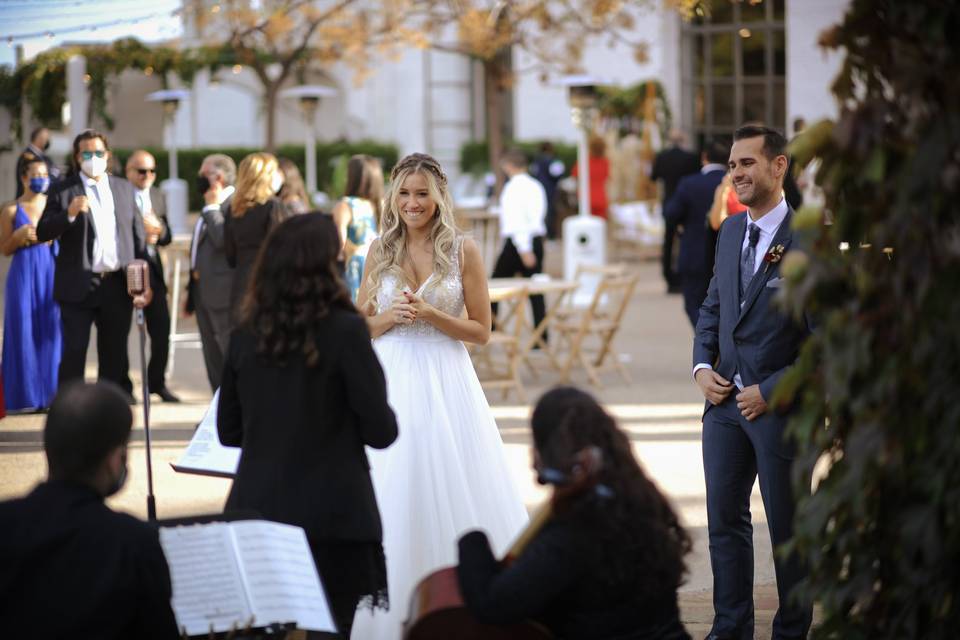 Novios encantados