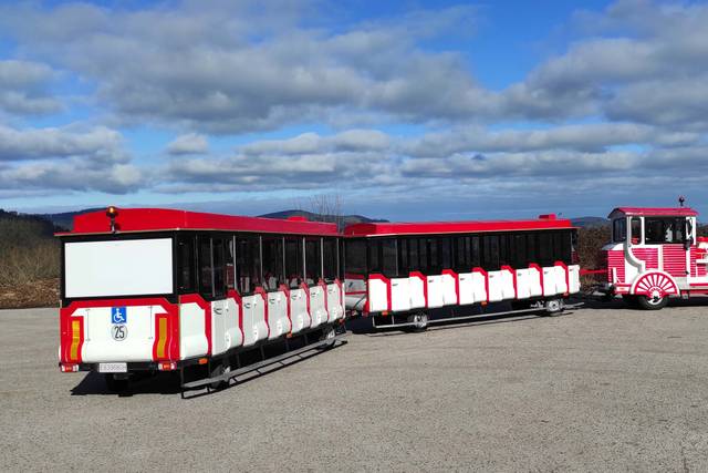Tren turístico