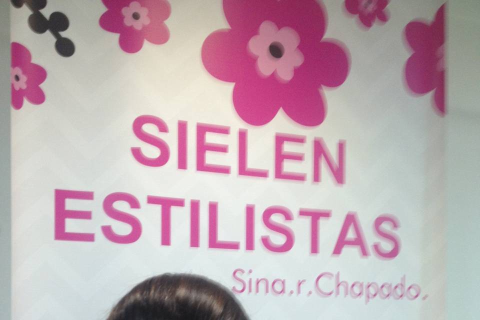 Sielen estilistas