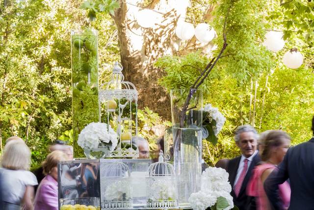 Buffet de aguas