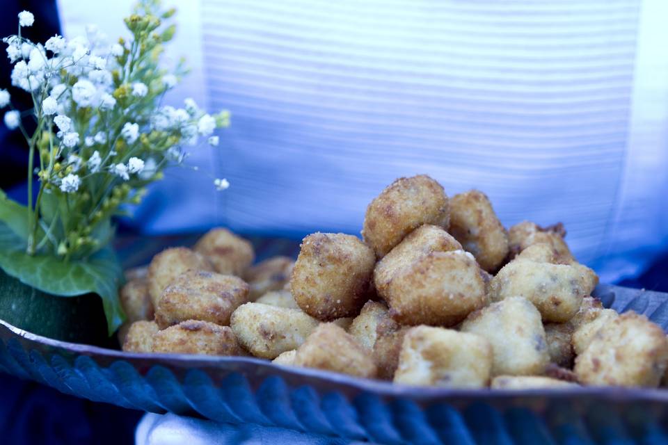 Croquetitas boletus