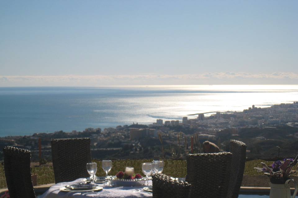 Vistas desde el jardín