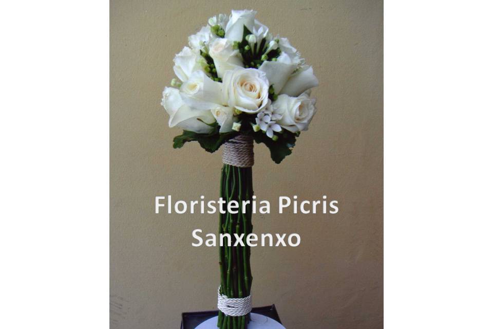 Floristería Picris