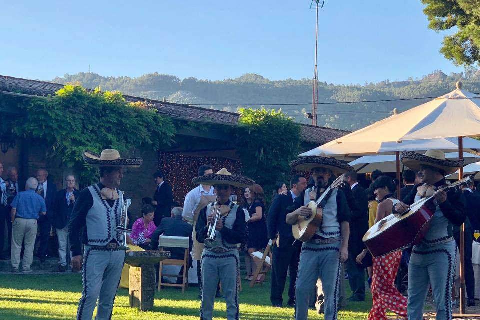 Mariachis