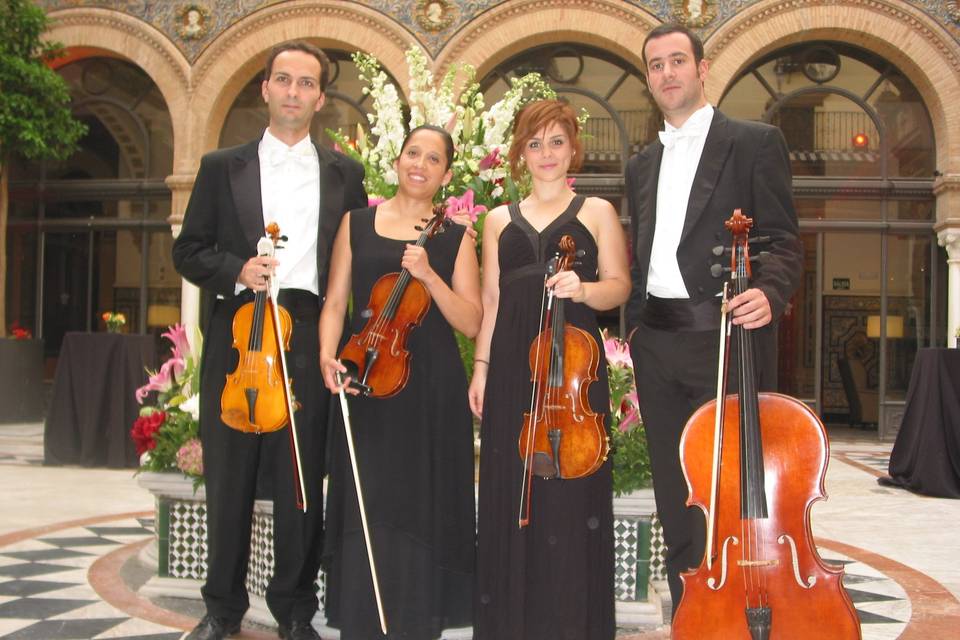 Cuarteto en Alfonso XIII