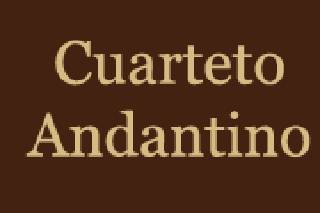 Cuarteto Andantino