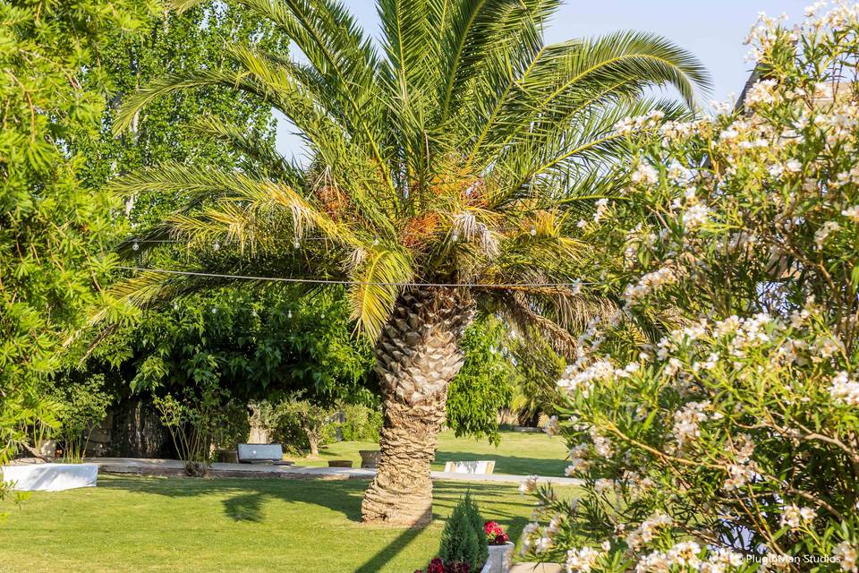 Jardines