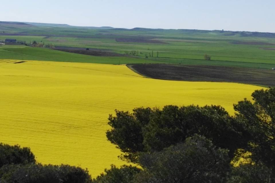 Aldea Colorada