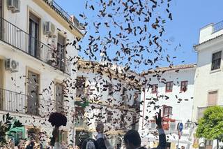 Las Mimosas Wedding