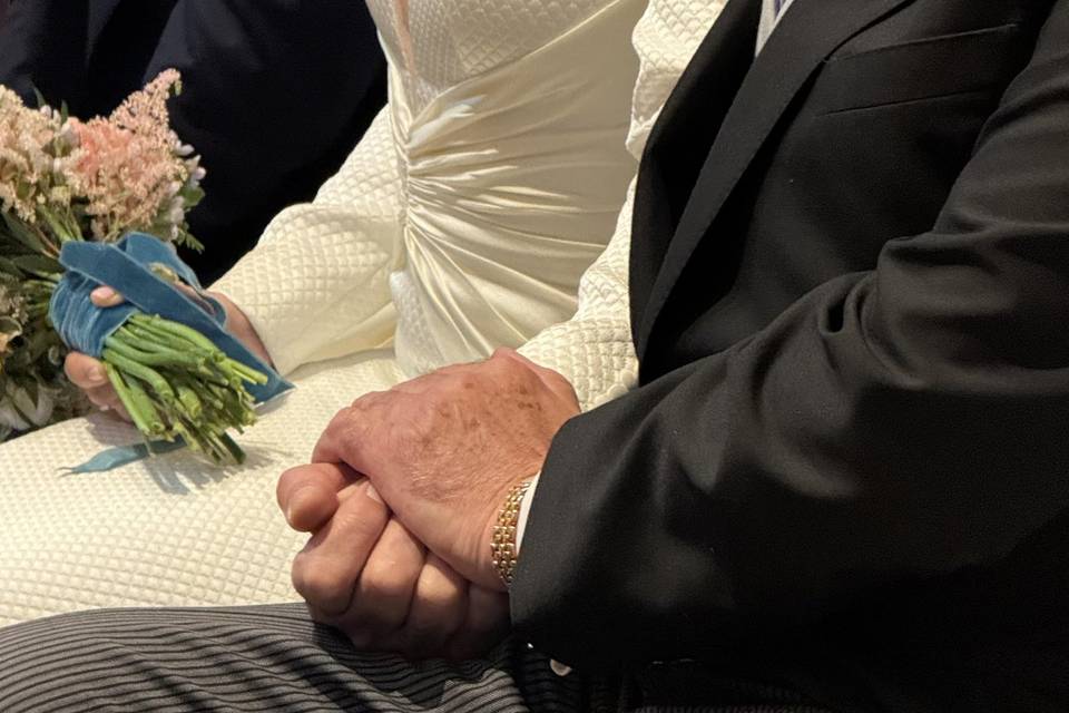 Novios