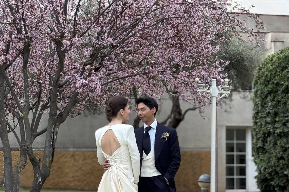 Novios
