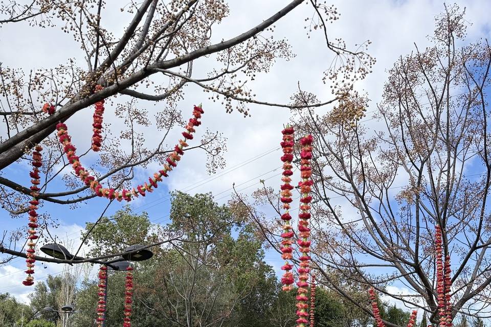 Deco