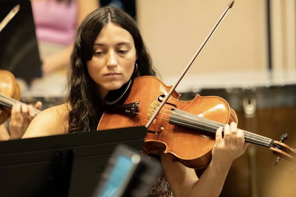 Viola